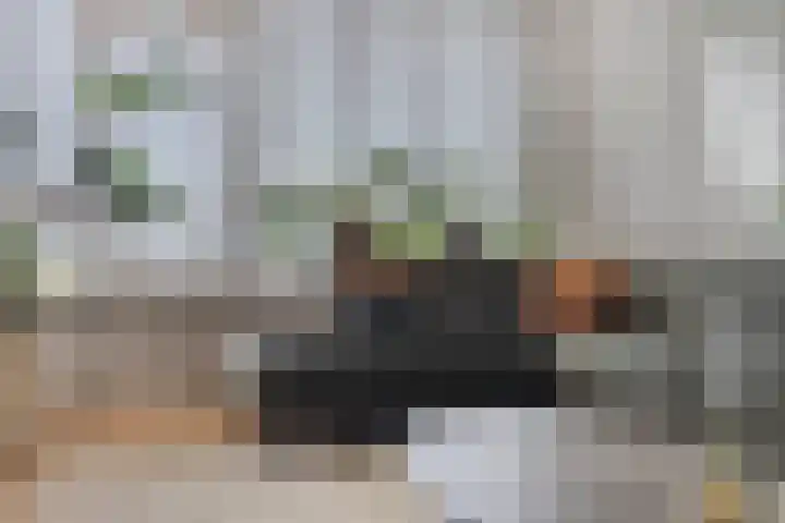 Graaf Janstraat 72 Zoetermeer thumbnail 11
