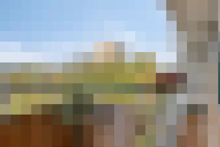 Graaf Janstraat 72 Zoetermeer thumbnail 18