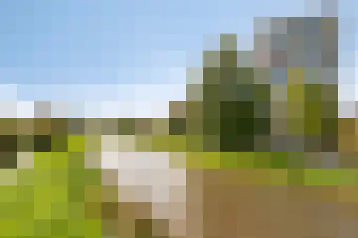 Graaf Janstraat 72 Zoetermeer thumbnail 31