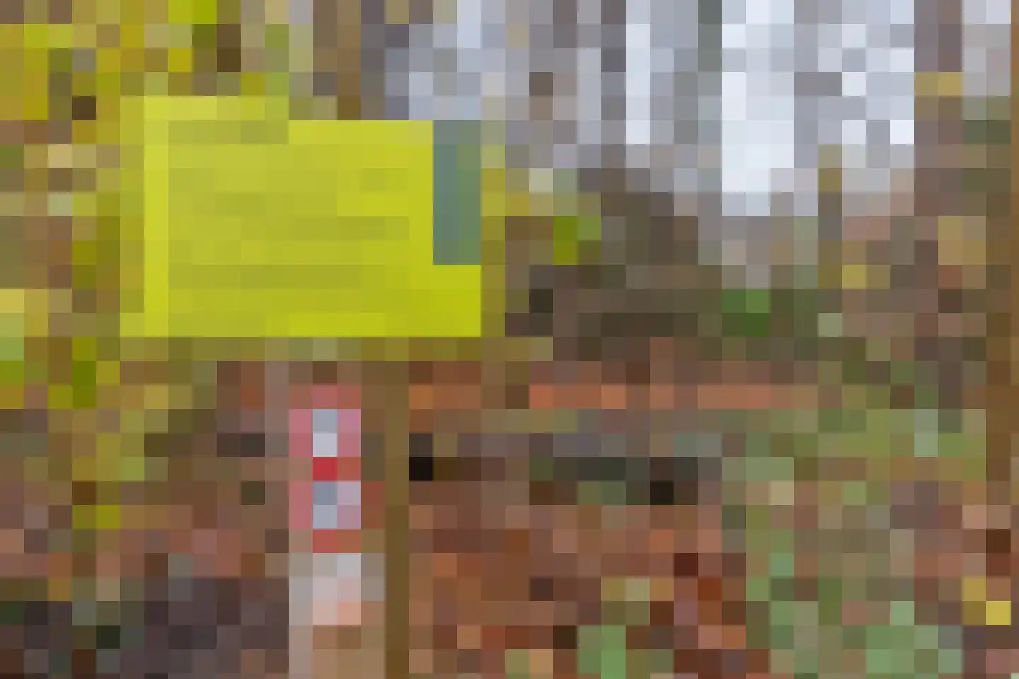 Graaf Janstraat 72 Zoetermeer thumbnail 5