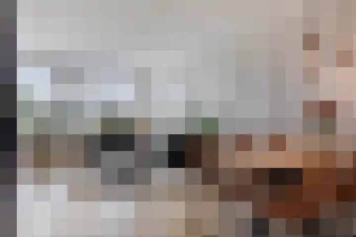 Graaf Janstraat 72 Zoetermeer thumbnail 9