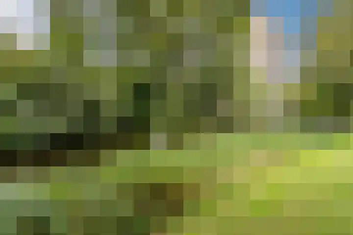 Graaf Janstraat 83 Zoetermeer thumbnail 34