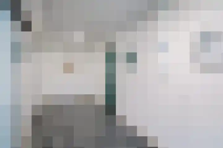 Graaf Janstraat 86 Zoetermeer thumbnail 10