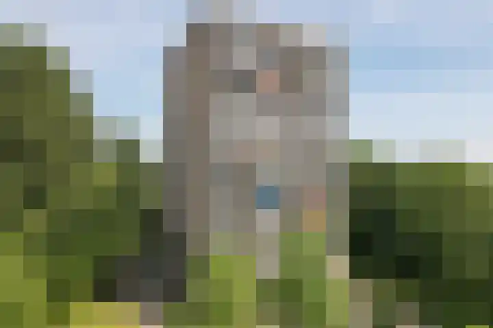 Graaf Janstraat 86 Zoetermeer thumbnail 5