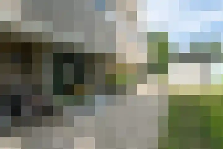 Graaf Janstraat 86 Zoetermeer thumbnail 7