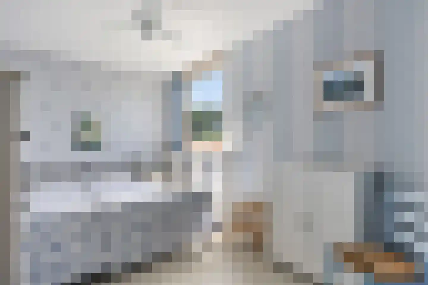 Graaf Janstraat 91 Zoetermeer thumbnail 21