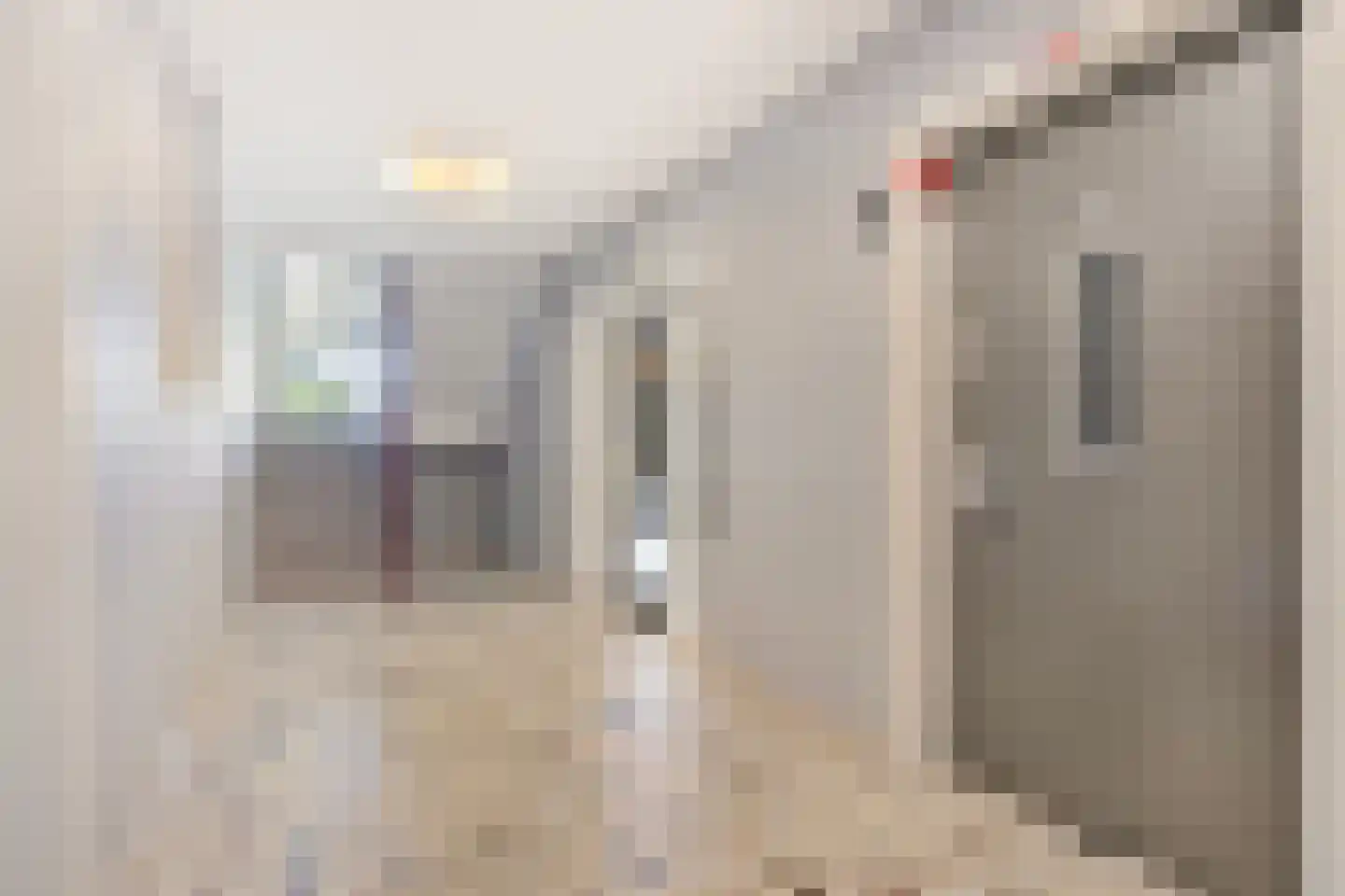 Graaf Janstraat 91 Zoetermeer thumbnail 8