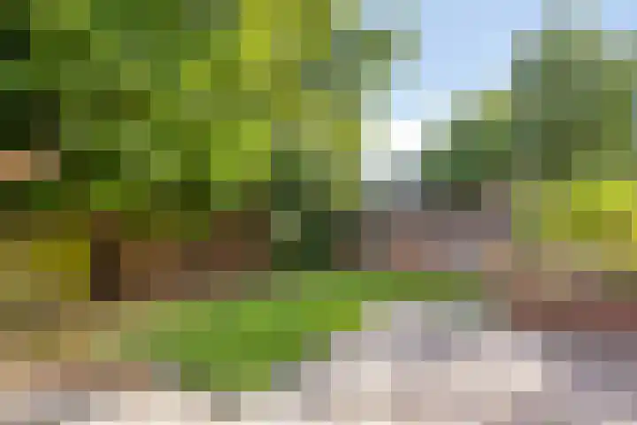 Graaf Johan Frederikstraat 8 Landgraaf thumbnail 32