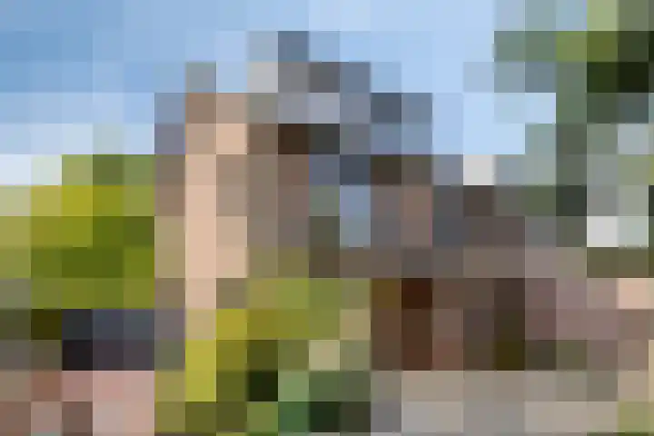 Graaf Johan Frederikstraat 8 Landgraaf thumbnail 35