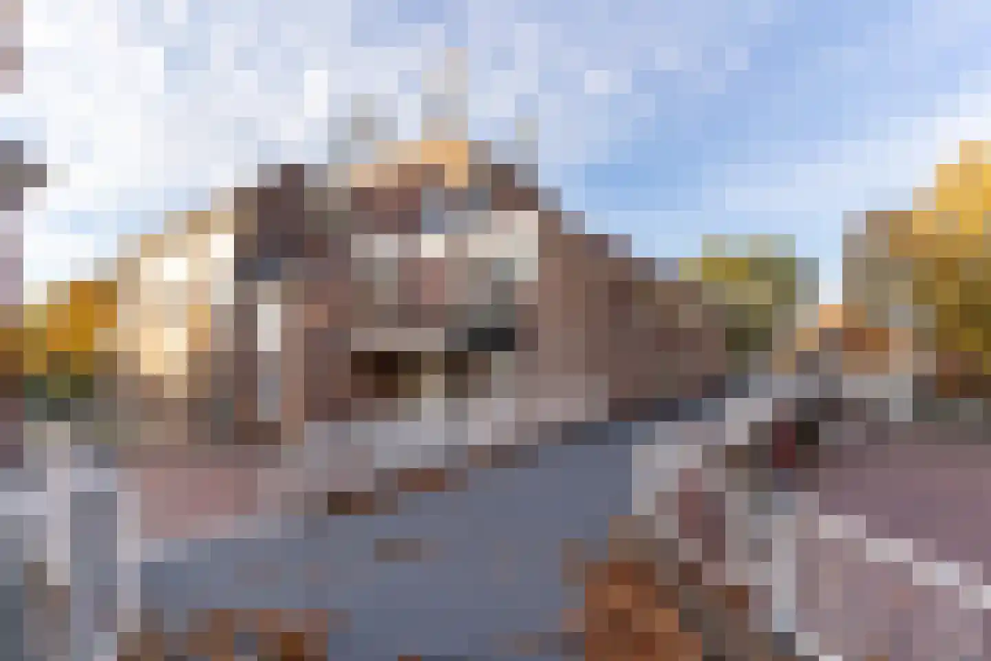 Graaf Karellaan 33 Nieuwegein thumbnail 20