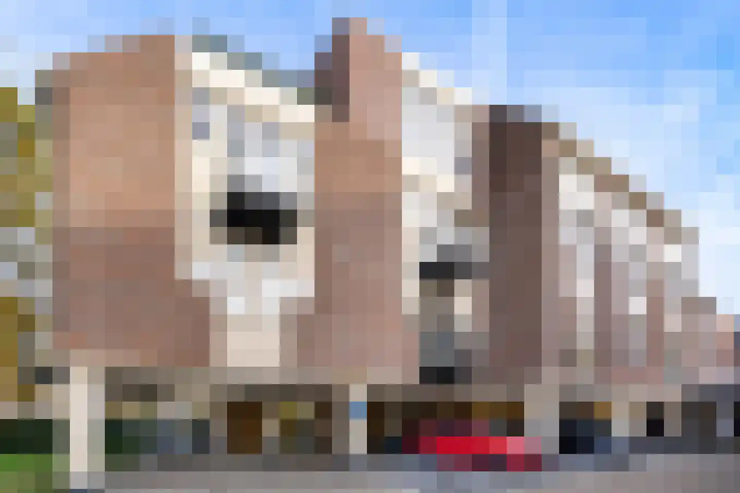 Graaf Karellaan 33 Nieuwegein thumbnail 23