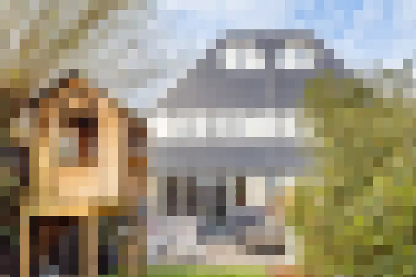 Graaf Leopoldlaan 13 Nieuwegein