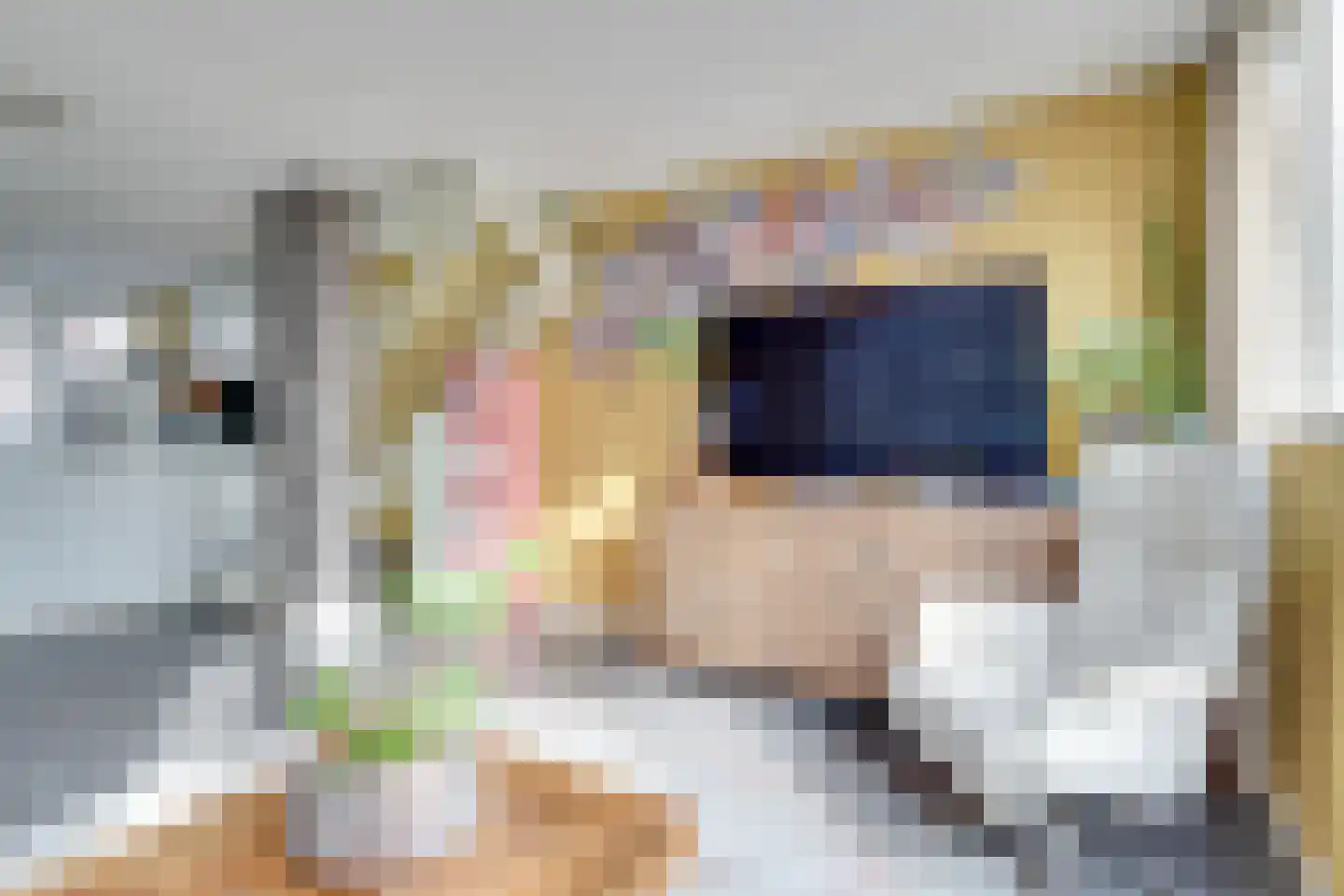 Graaf Leopoldlaan 13 Nieuwegein thumbnail 16