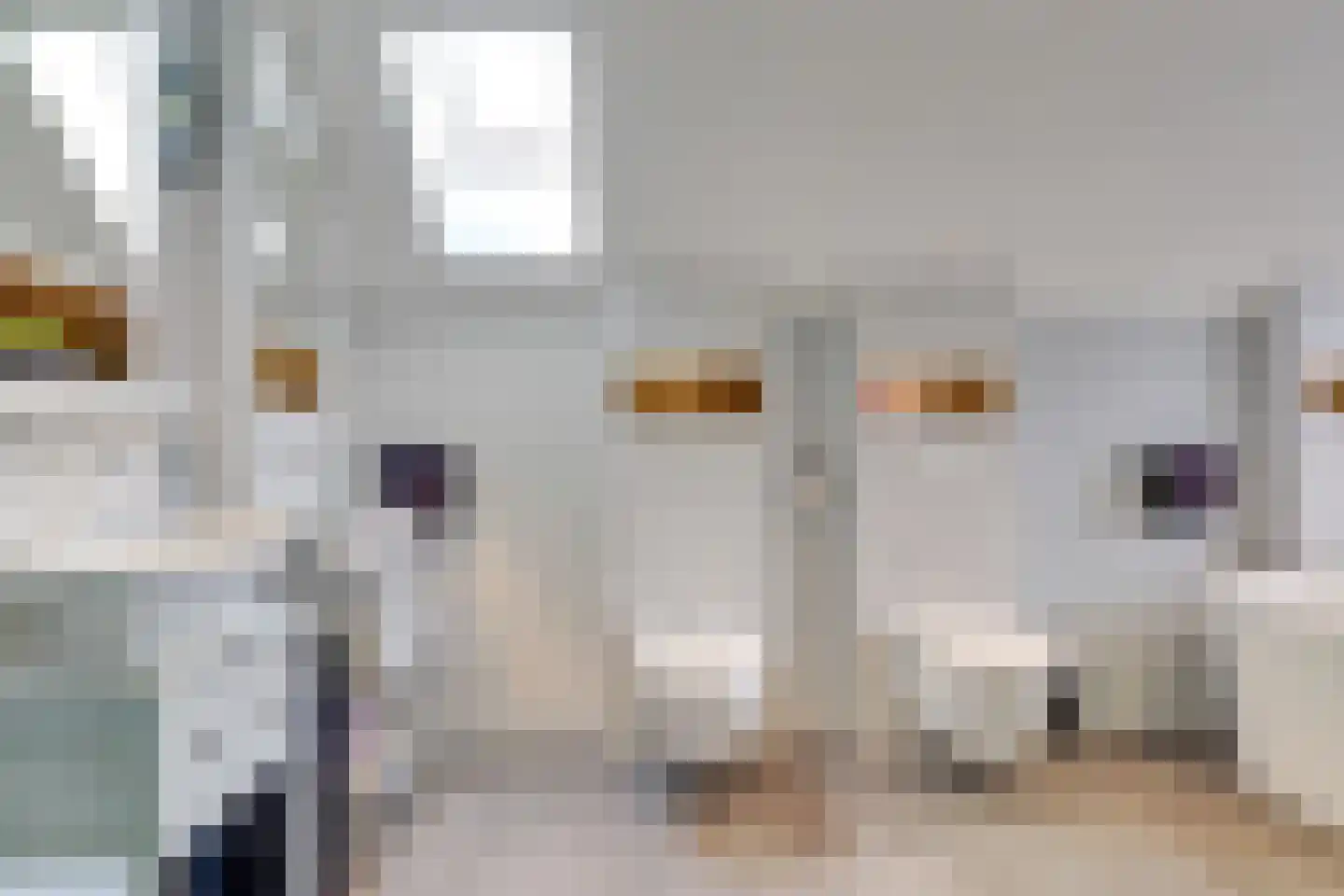 Graaf Leopoldlaan 13 Nieuwegein thumbnail 25