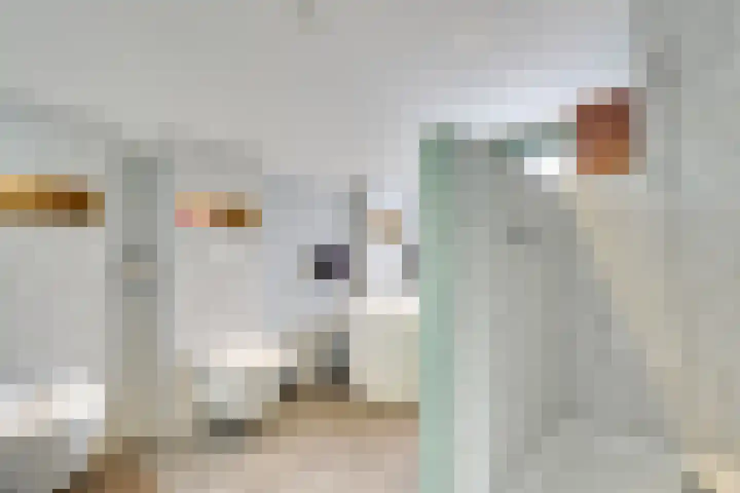Graaf Leopoldlaan 13 Nieuwegein thumbnail 26
