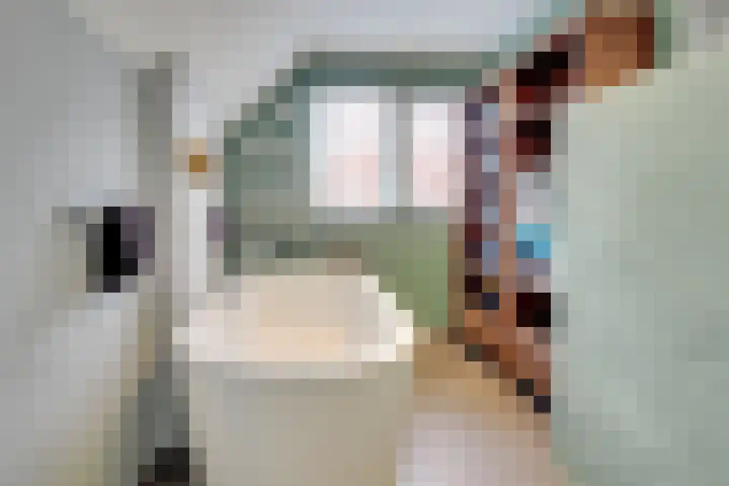 Graaf Leopoldlaan 13 Nieuwegein thumbnail 27