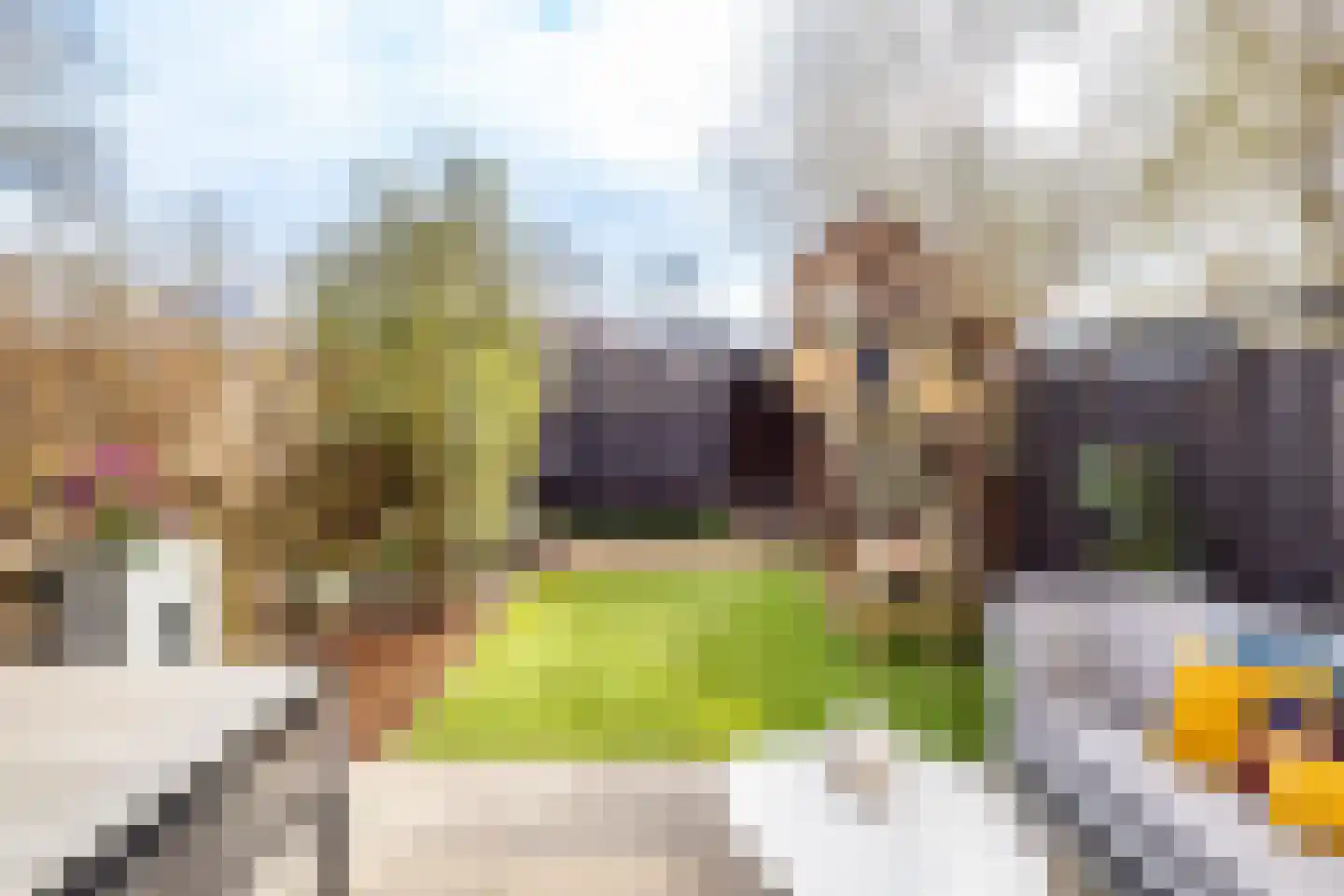 Graaf Leopoldlaan 13 Nieuwegein thumbnail 46