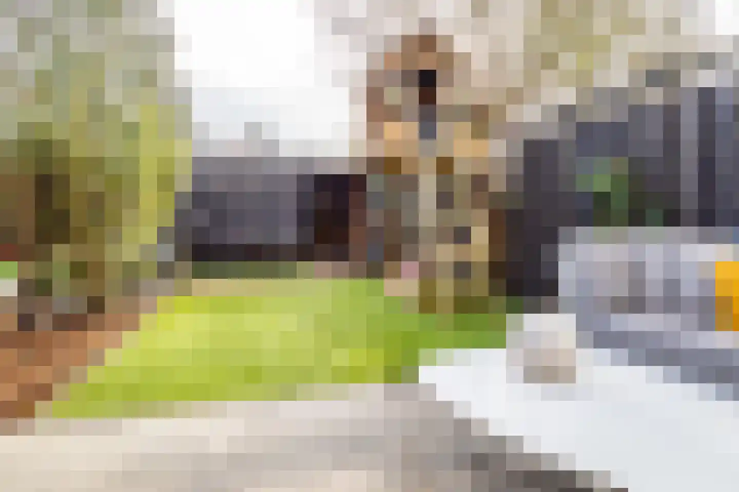 Graaf Leopoldlaan 13 Nieuwegein thumbnail 47