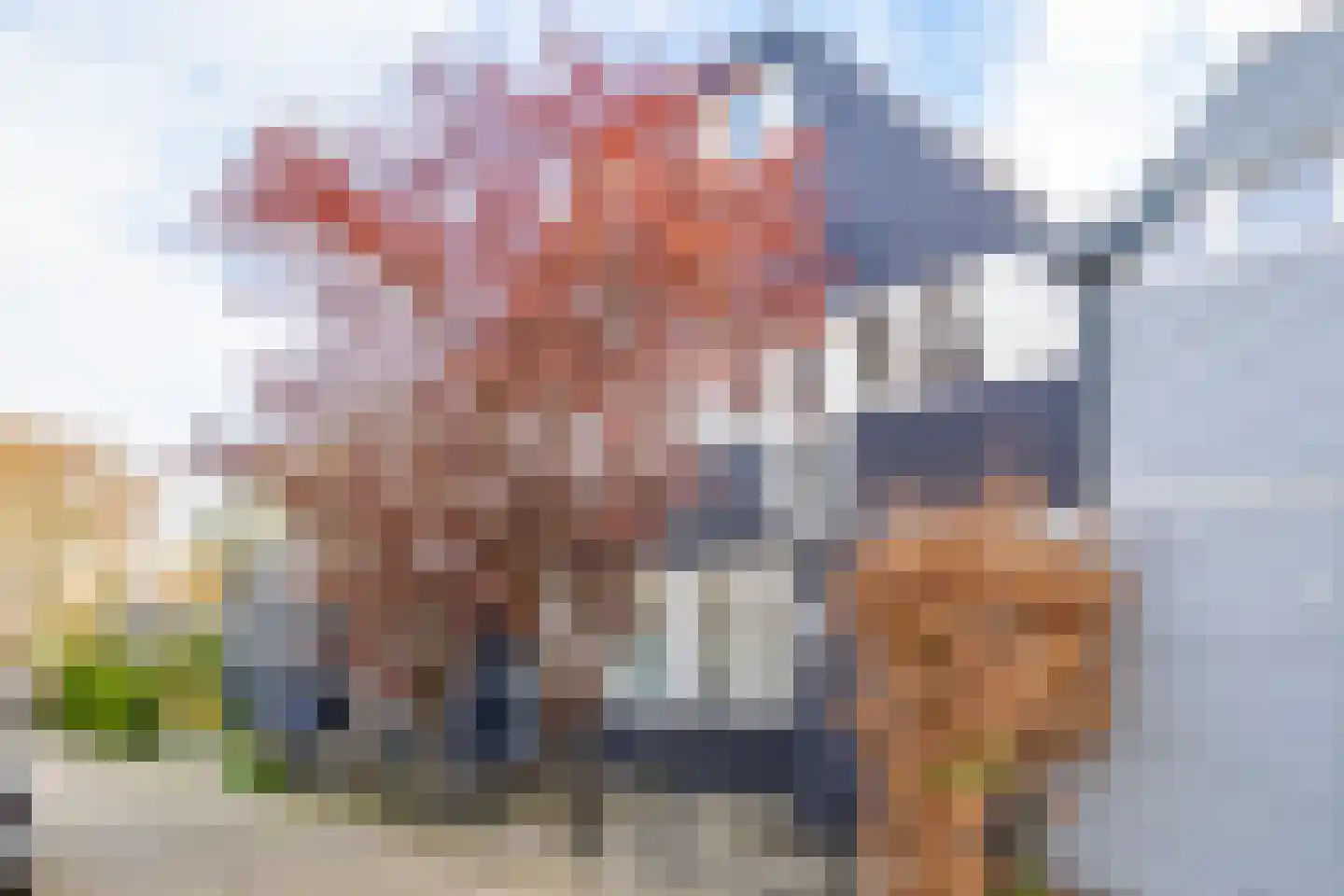 Graaf Leopoldlaan 13 Nieuwegein thumbnail 52