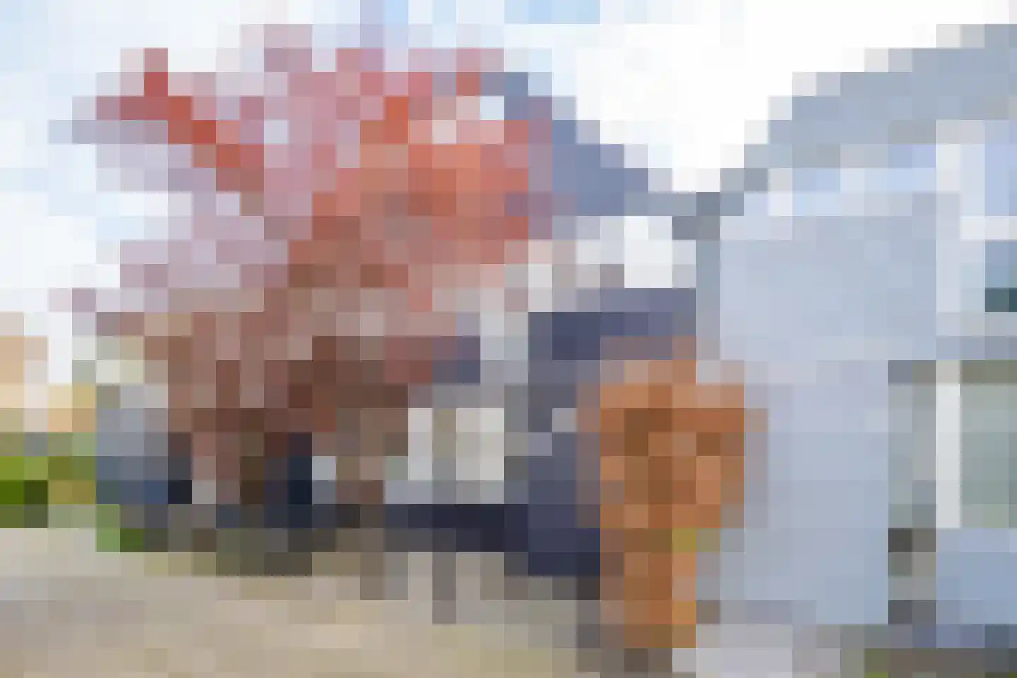 Graaf Leopoldlaan 13 Nieuwegein thumbnail 53