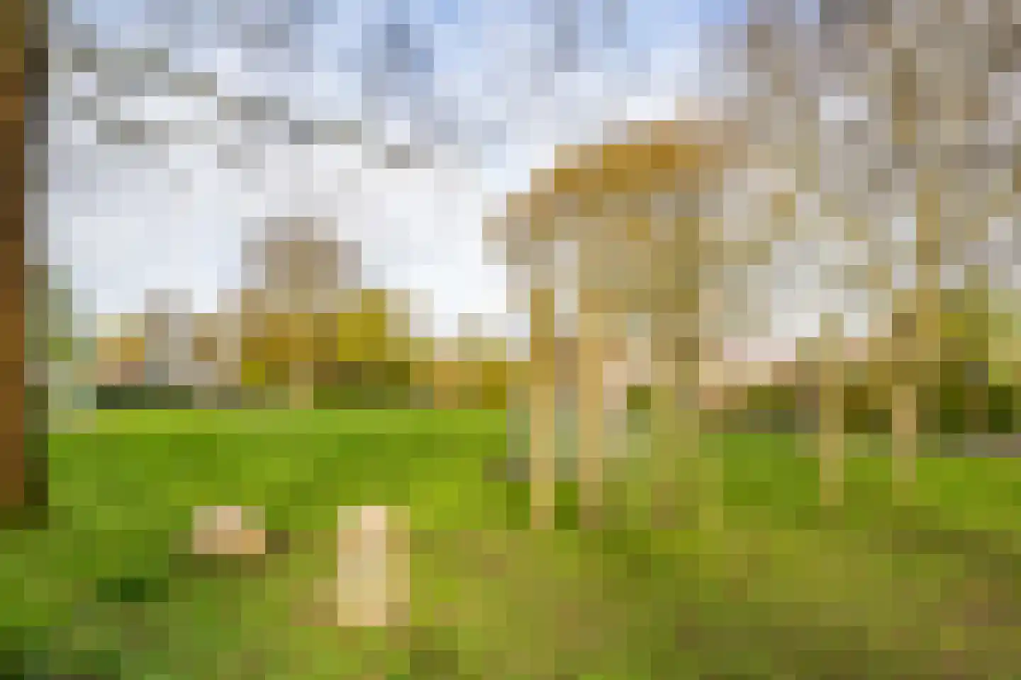 Graaf Leopoldlaan 13 Nieuwegein thumbnail 57