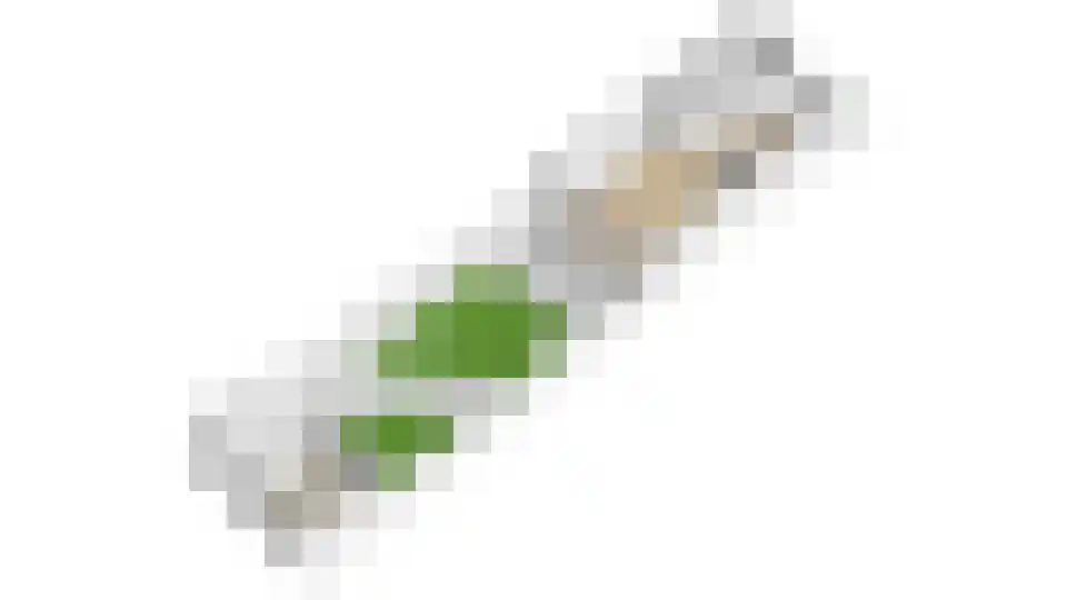 Graaf Leopoldlaan 13 Nieuwegein thumbnail 63