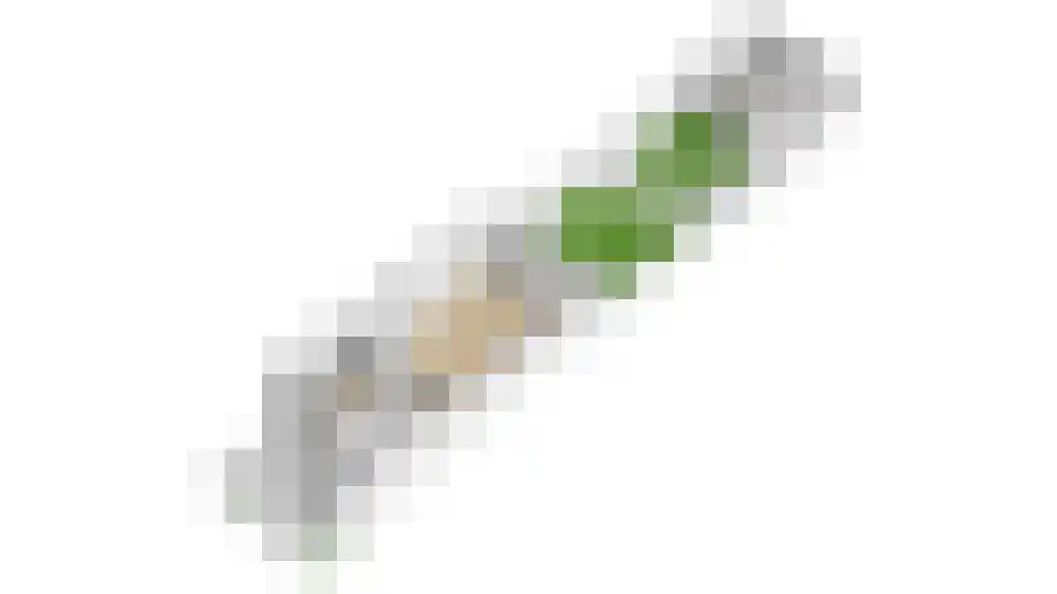 Graaf Leopoldlaan 13 Nieuwegein thumbnail 64