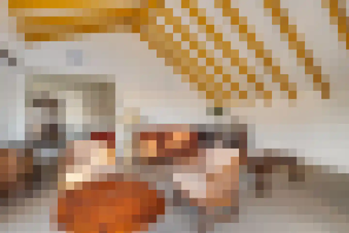 Graaf Lodewijklaan 12 Zwartsluis thumbnail 16