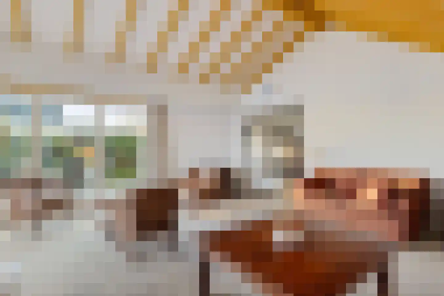 Graaf Lodewijklaan 12 Zwartsluis thumbnail 17