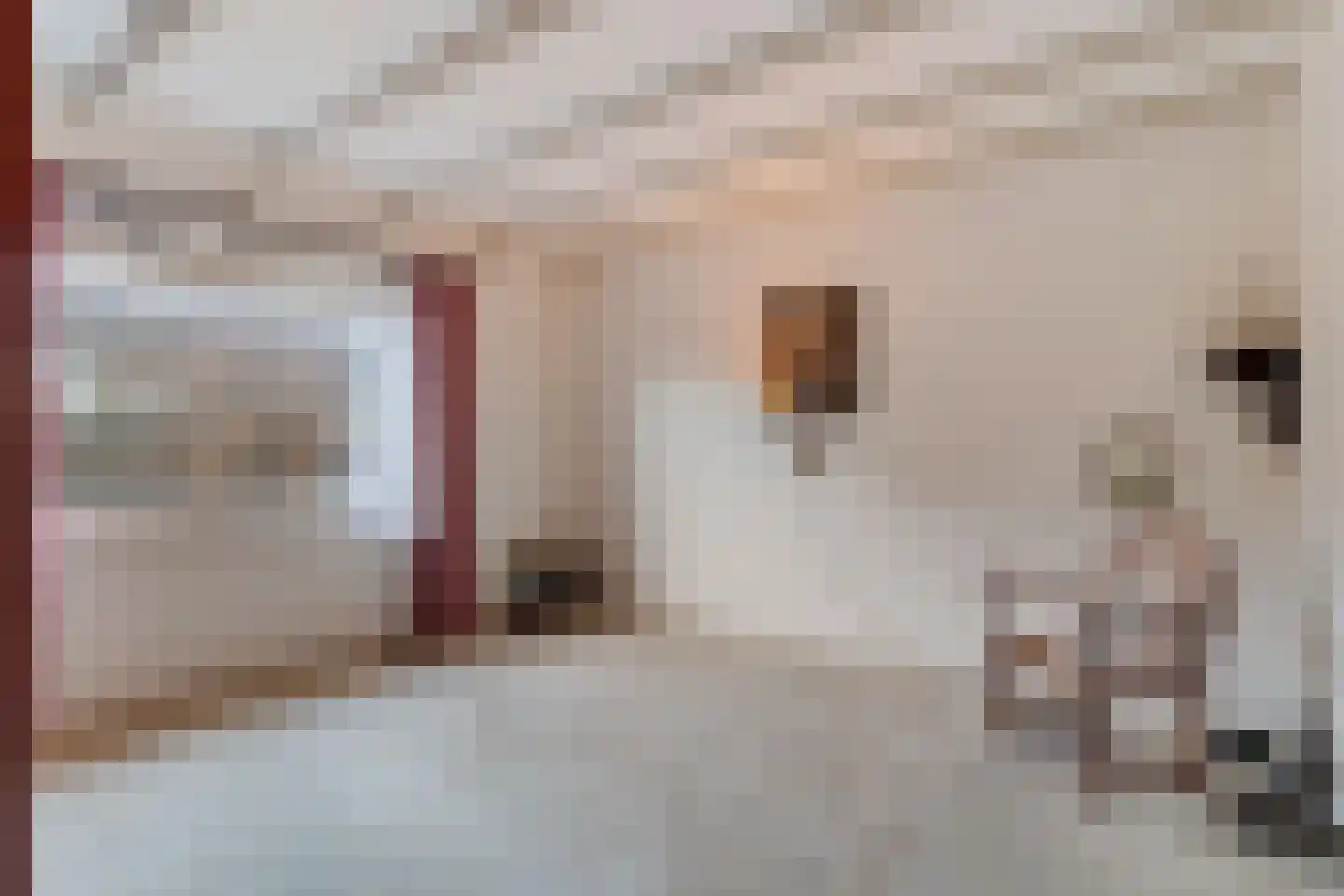 Graaf Lodewijklaan 12 Zwartsluis thumbnail 24