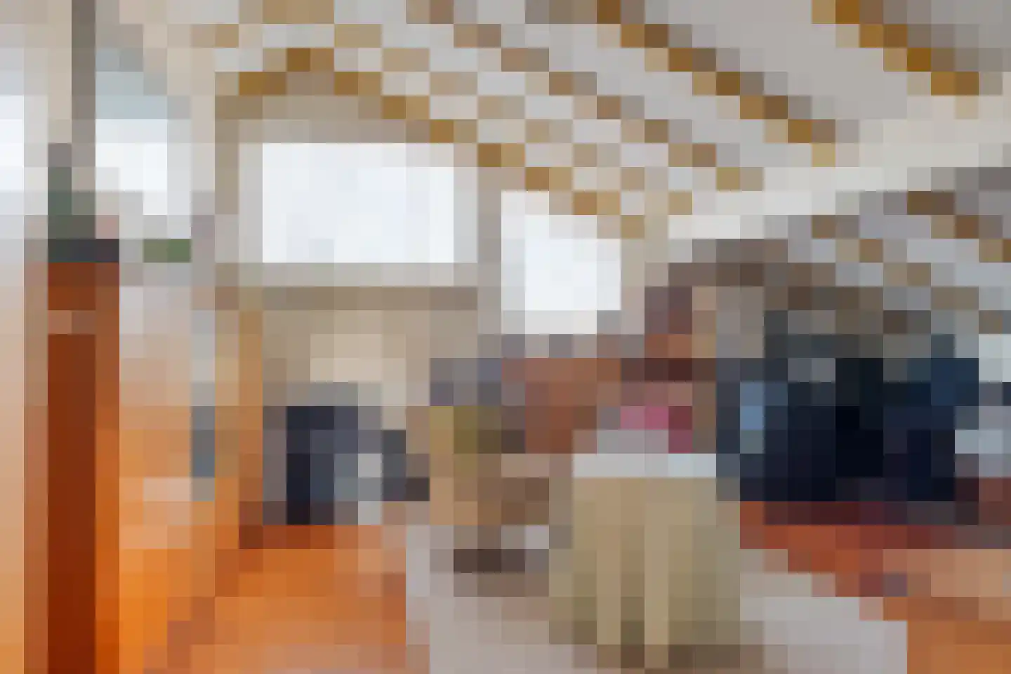 Graaf Lodewijklaan 12 Zwartsluis thumbnail 41