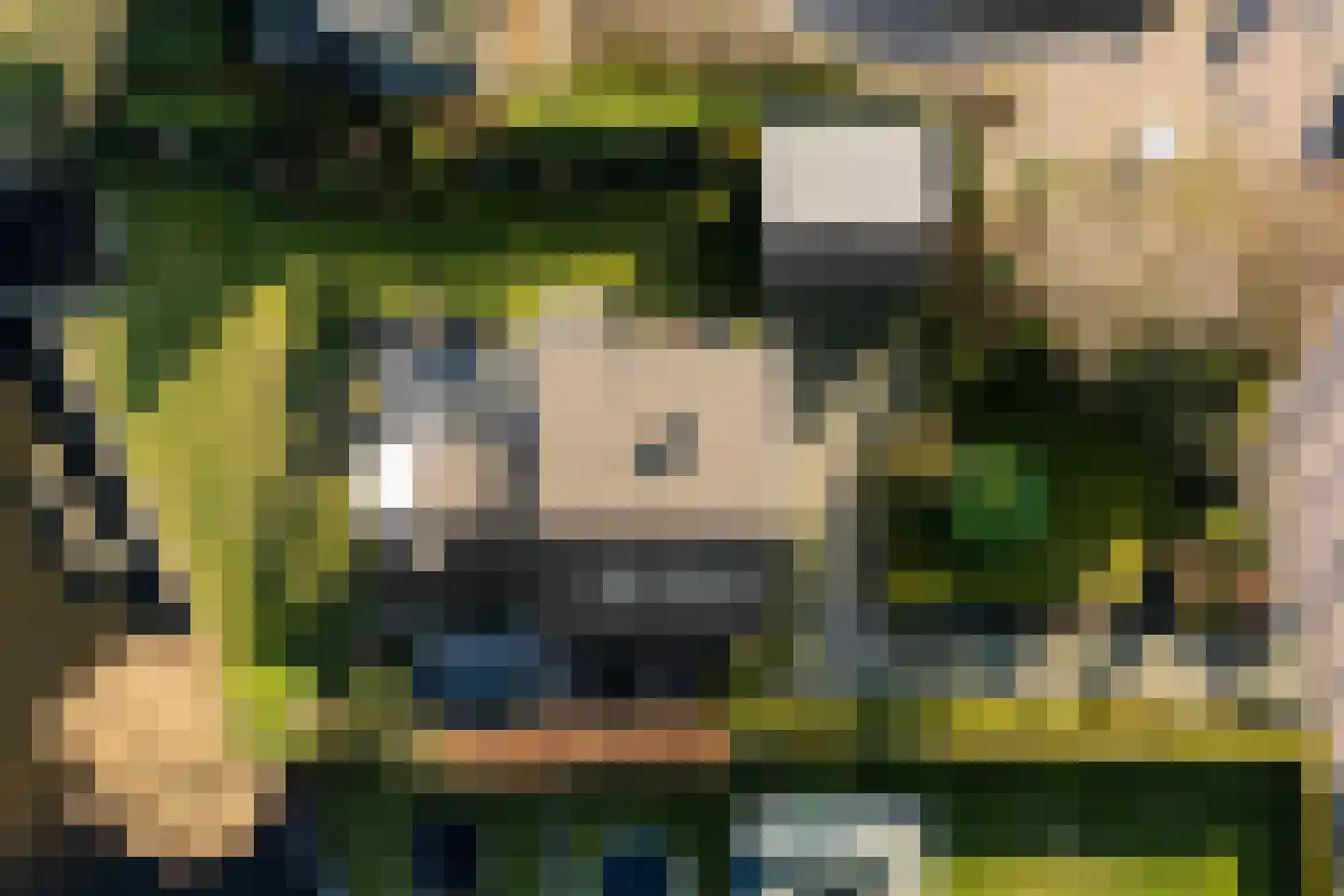 Graaf Lodewijklaan 12 Zwartsluis thumbnail 5