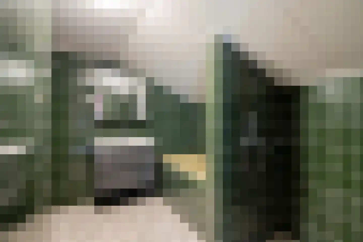 Graaf Lodewijklaan 26 Zwartsluis thumbnail 30