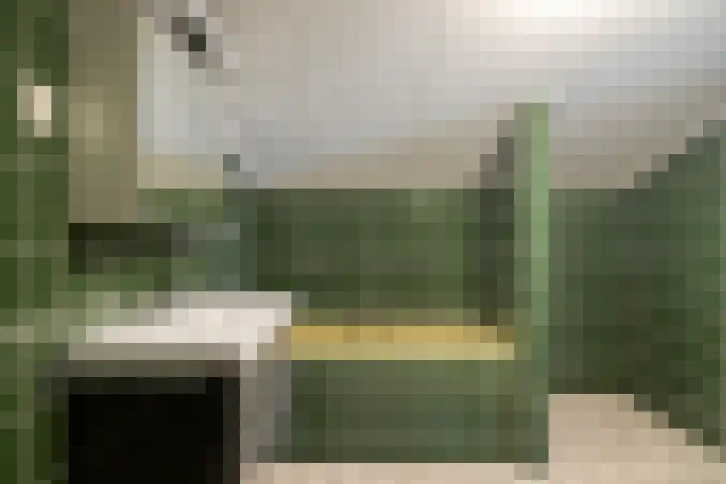 Graaf Lodewijklaan 26 Zwartsluis thumbnail 33
