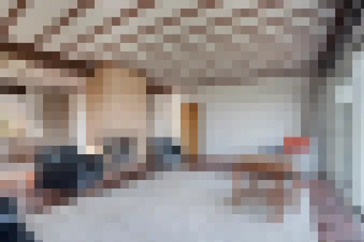 Graaf Lodewijklaan 26 Zwartsluis thumbnail 4