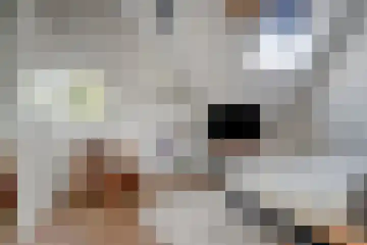 Graaf Lodewijklaan 3 Amersfoort thumbnail 20