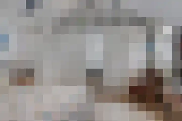 Graaf Lodewijklaan 3 Amersfoort thumbnail 21