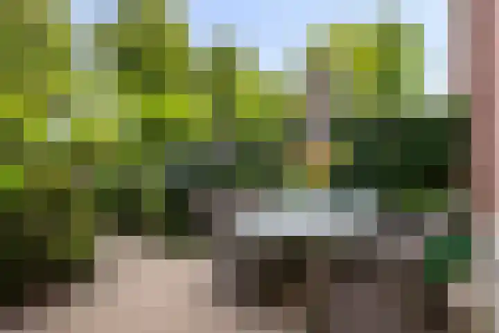 Graaf Lodewijklaan 3 Amersfoort thumbnail 24