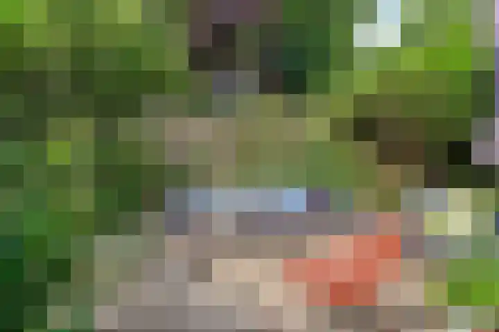 Graaf Lodewijklaan 3 Amersfoort thumbnail 25