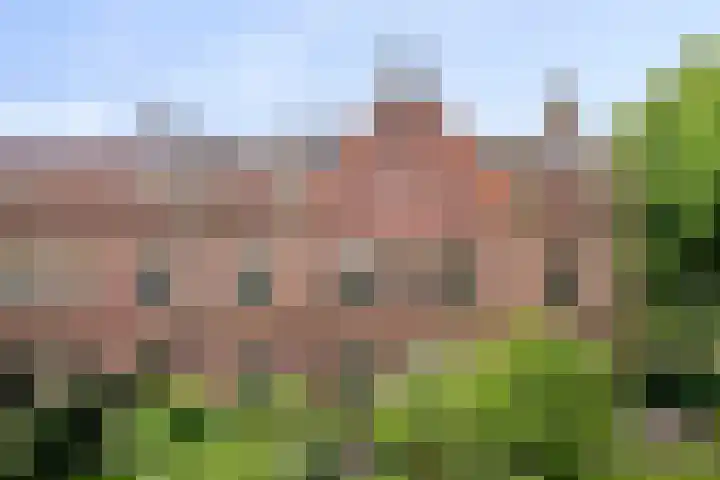 Graaf Lodewijklaan 3 Amersfoort thumbnail 28