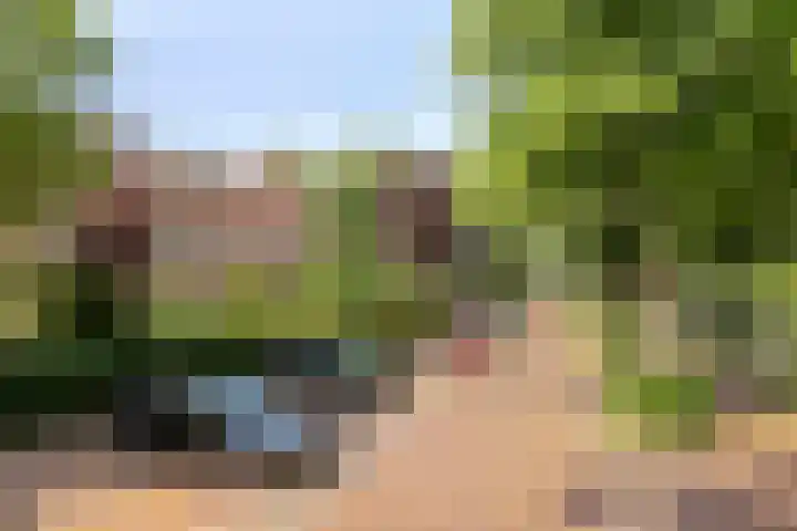 Graaf Lodewijklaan 3 Amersfoort thumbnail 29