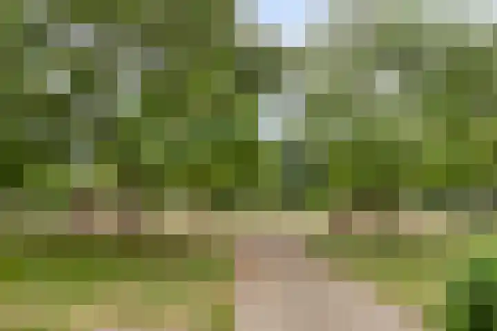 Graaf Lodewijklaan 3 Amersfoort thumbnail 35