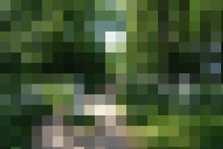 Graaf Lodewijklaan 3 Amersfoort thumbnail 37