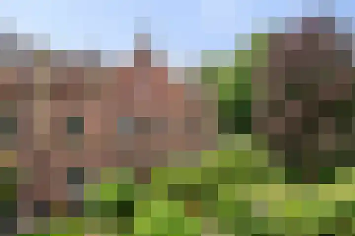 Graaf Lodewijklaan 3 Amersfoort thumbnail 43