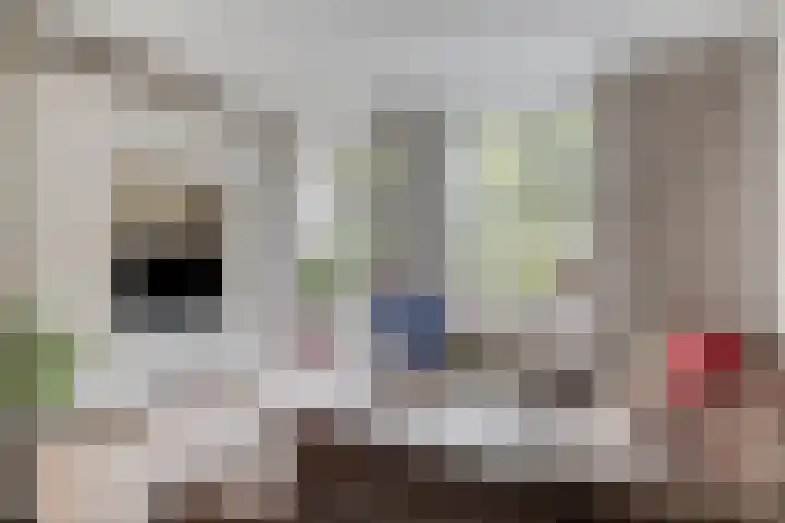 Graaf Lodewijklaan 3 Amersfoort thumbnail 5
