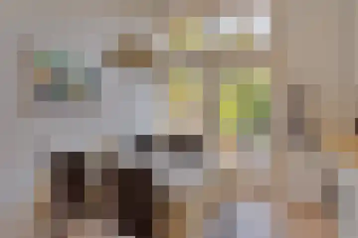 Graaf Lodewijklaan 47 Amersfoort thumbnail 17