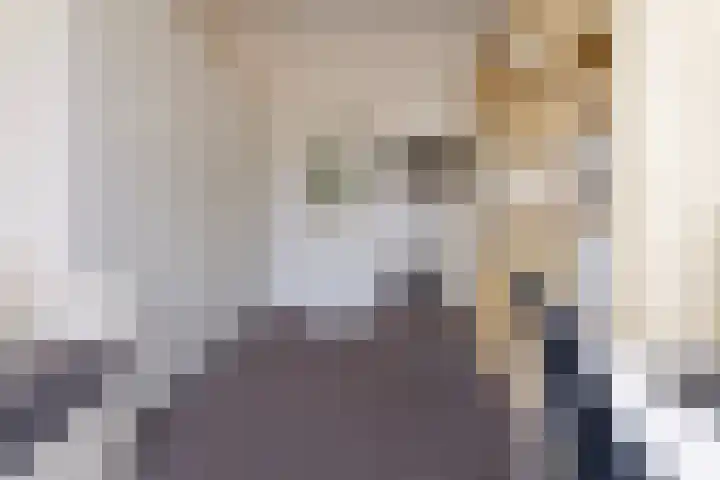 Graaf Lodewijklaan 47 Amersfoort thumbnail 20