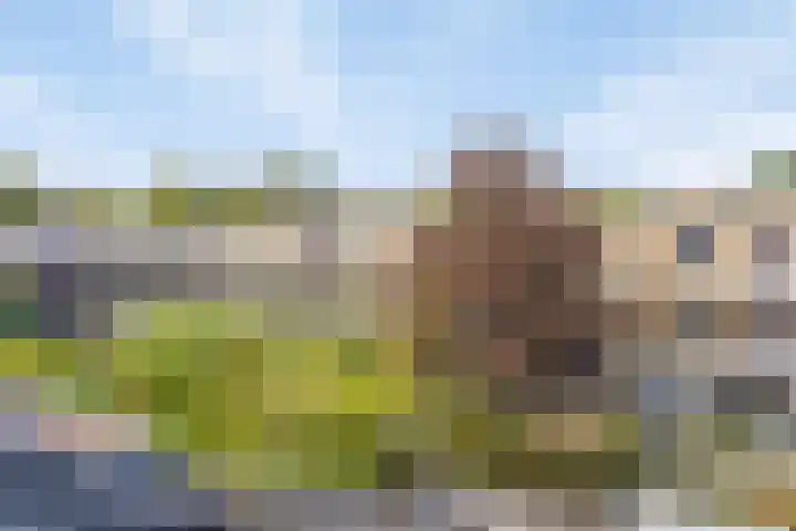 Graaf Lodewijklaan 47 Amersfoort thumbnail 29