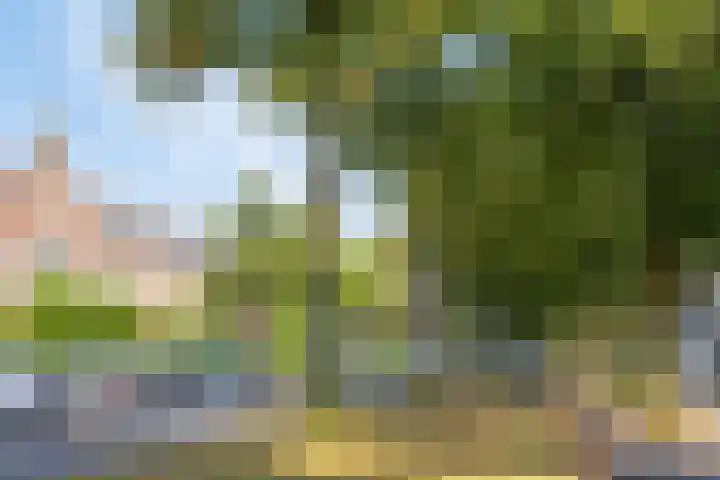 Graaf Lodewijklaan 47 Amersfoort thumbnail 30