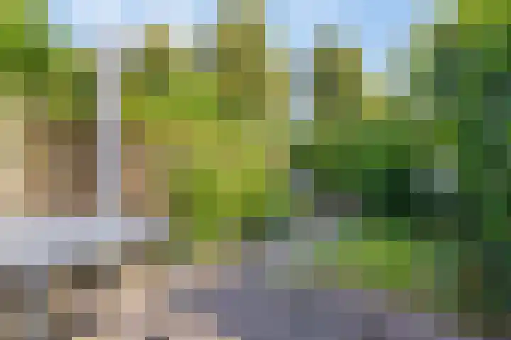 Graaf Lodewijklaan 47 Amersfoort thumbnail 32